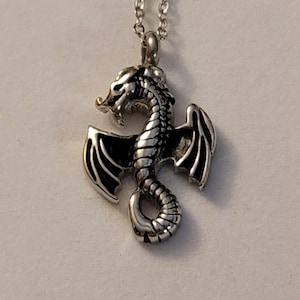 Può includere: Una collana con un ciondolo a forma di drago d'argento con un designo dettagliato. Il drago ha le ali e una coda arricciata. La collana è su una catena d'argento.