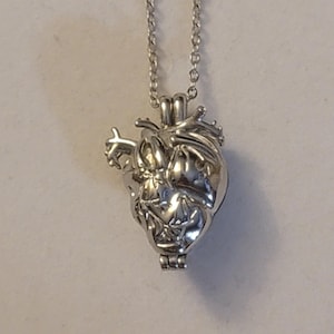 Op de afbeelding: Een zilveren ketting met een hartvormige hanger, versierd met een gedetailleerd anatomisch ontwerp. De hanger is open en klaar om een ​​speciale boodschap of een klein sieraad te bevatten.