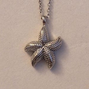 Pode incluir: Um colar de corrente de prata com um pingente de estrela do mar de prata.