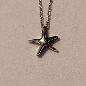 Pode incluir: Um colar de corrente de prata com um pingente de estrela do mar de prata.