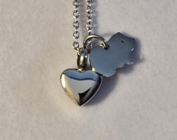 Stainless Steel Heart Urn Necklace: Hamster/Guinea Pig Memorial Jewelry