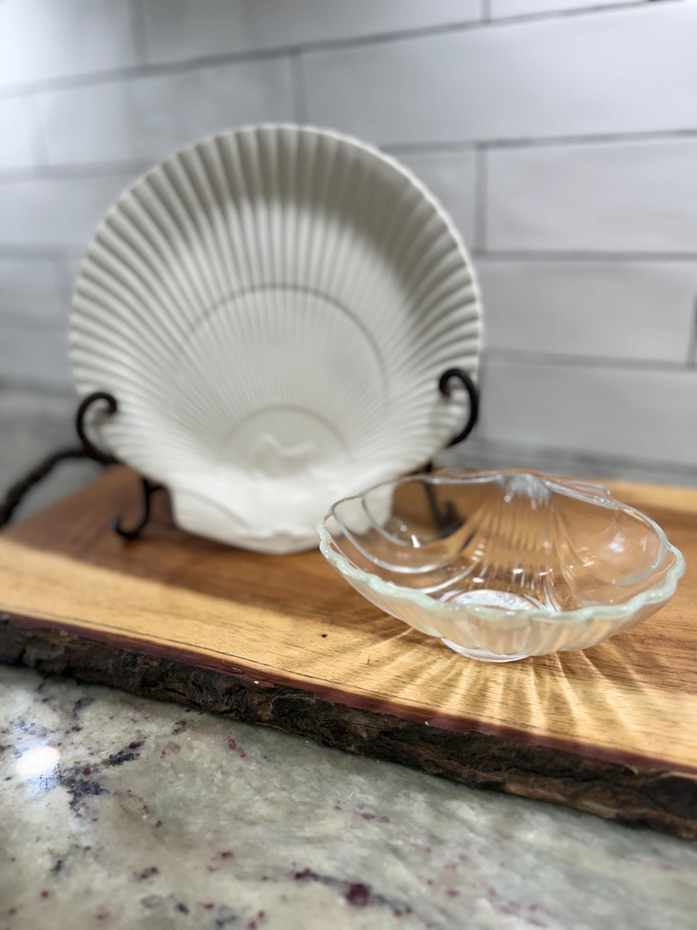Wedgwood Nautilus Shell - Etsy