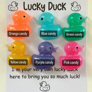 May include: Six small rubber duck figurines with glitter embedded in the plastic. The ducks are in the colours orange, blue, green, yellow, purple, and pink. The ducks are arranged in two rows of three. The text "Lucky Duck" is written in black letters on a white background. The text "I'm your very own lucky duck here to bring you so much luck!" is written in black letters on a white background. The text "What The Floof Resin Creations @whatt_hefloof" is written in black letters on a white background.
