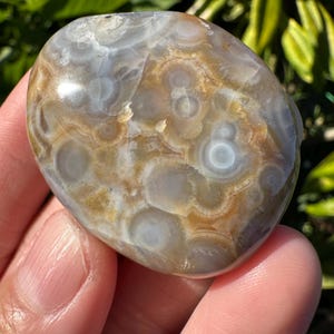 May include: A polished, oval-shaped stone with a unique pattern of concentric circles and swirls in shades of gray, tan, and cream. The stone has a smooth, glossy surface and is held in a hand. The stone appears to be a type of agate.