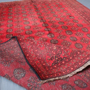 Antique Red Bokhara Rug: 5x7 Afghan Wool Turkmen Tribal Rug