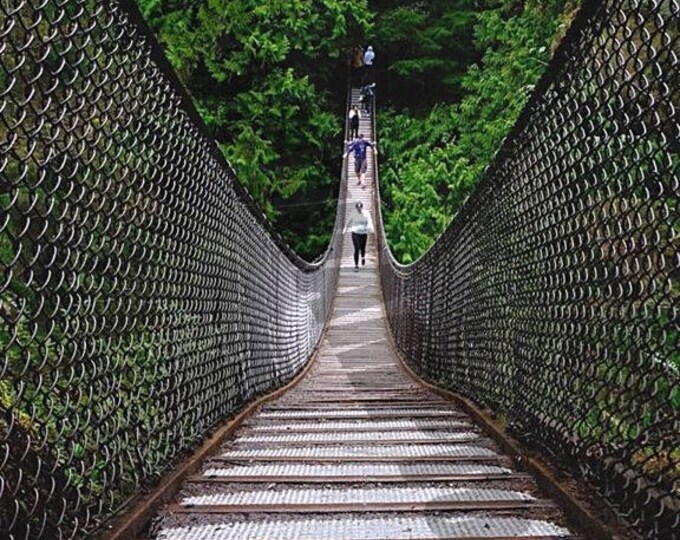 Digital Download - Suspension  Bridge