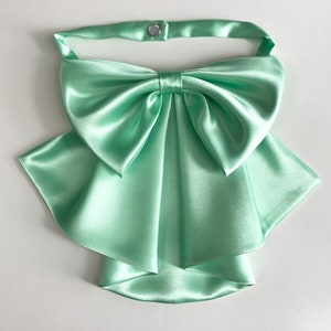 May include: A light green satin bow tie with a ruffled collar.