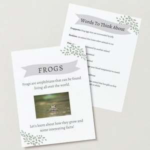 Frog Guide and Worksheet, Lifecycle of a Frog, Printable