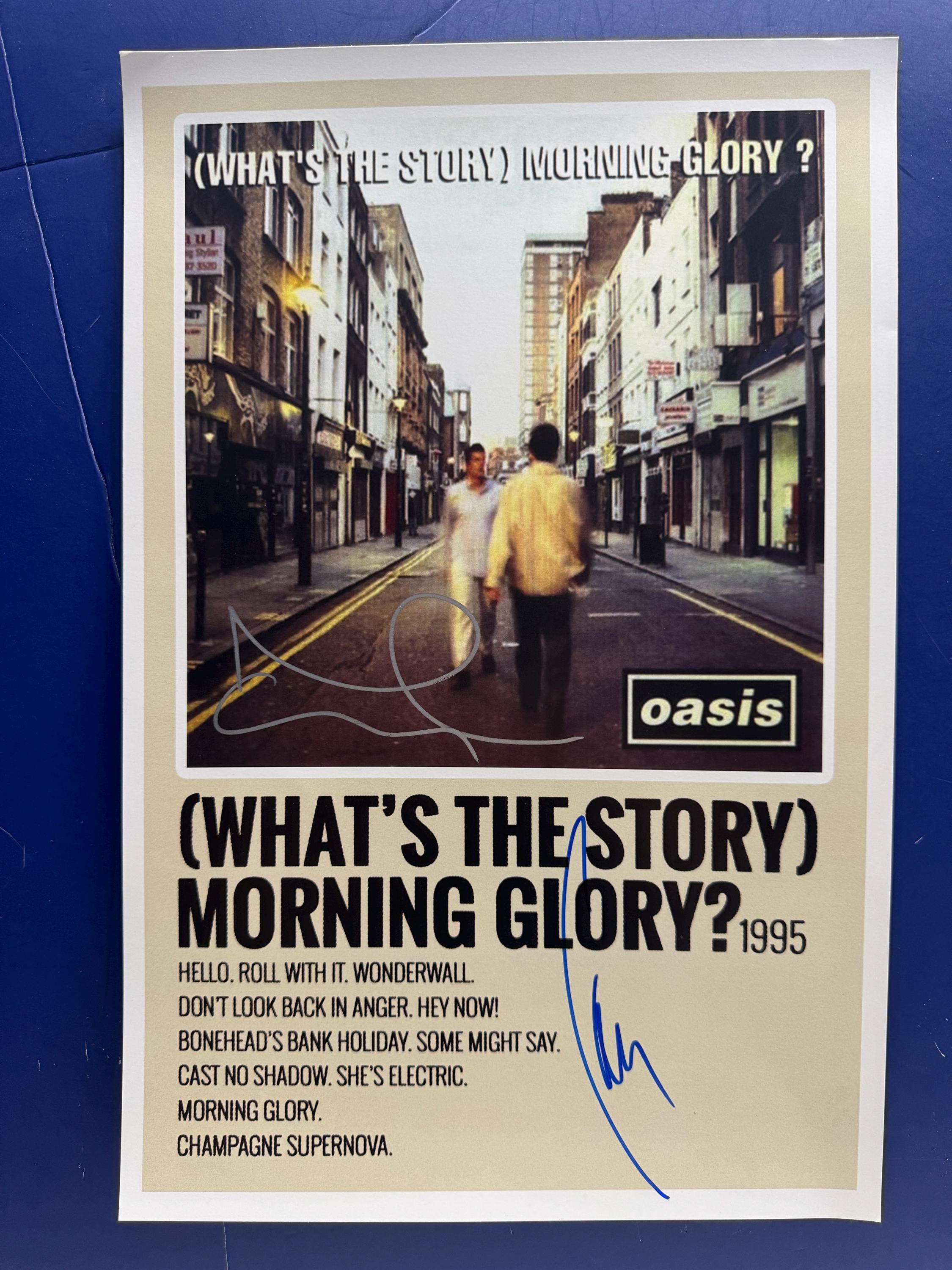 Story Morning Glory - Etsy