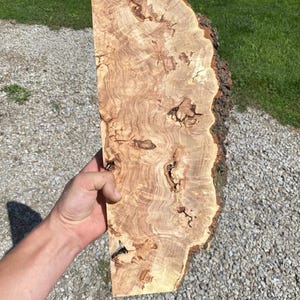 Kentucky Coffee Tree Burl Slice: Epoxy Resin Art, Air Dried