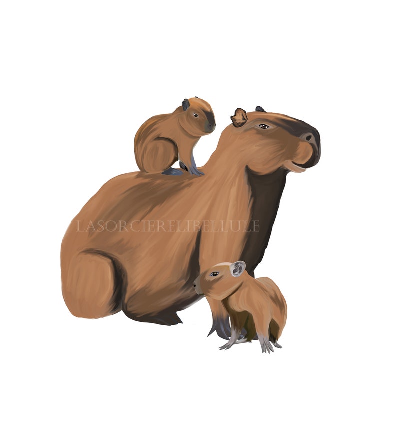 Tasse capybara Céramique, choix de couleurs, maman capybara et ses bébés image 2