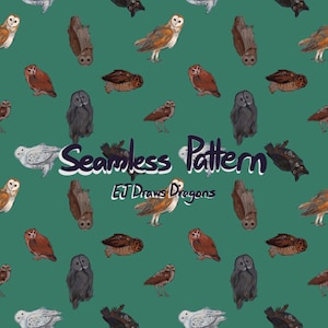 Może przedstawiać: Wzór bez szwów przedstawiający różne rodzaje sów w różnych kolorach i pozach na tle zielonym. Tekst "Seamless Pattern" i "EJ Draws Dragons" jest częścią wzoru.