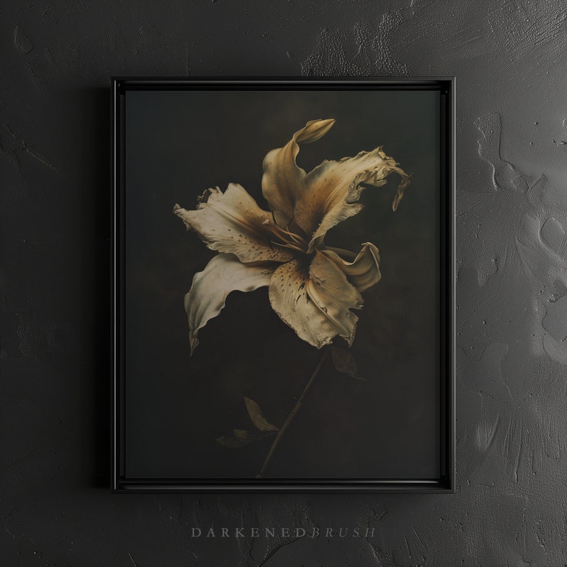 May include: A framed photograph of a single, dried, white lily flower with a dark background. The lily is in focus and the background is blurred.