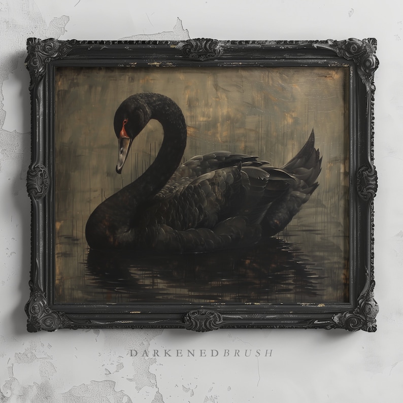 Puede incluir: Un cisne negro con un pico rojo est&aacute; nadando en un agua oscura y turbia. El cisne est&aacute; enmarcado en un marco negro adornado con el texto "Darkened Brush" en la parte inferior.