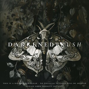 May include: A black and white moth with intricate patterns on its wings, set against a dark background of foliage. The text "DARKENEDBRUSH" is written in white letters across the moth's wings.