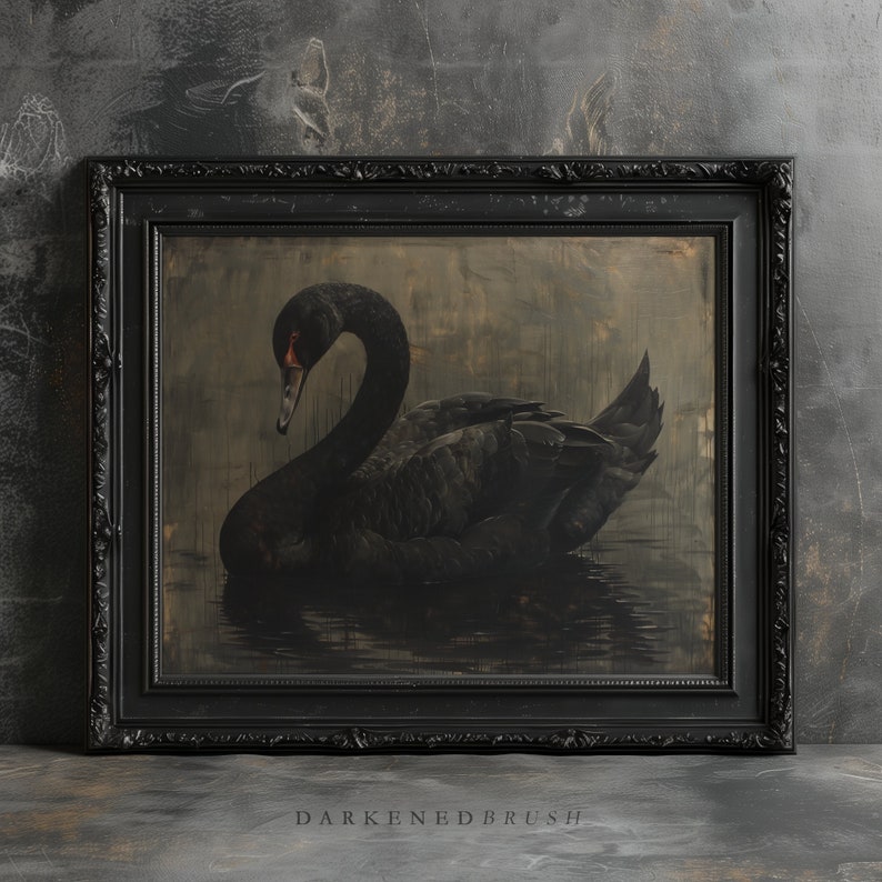 Puede incluir: Un cisne negro con un pico rojo nada en un estanque oscuro y turbio. El cisne est&aacute; enmarcado en un marco negro adornado.