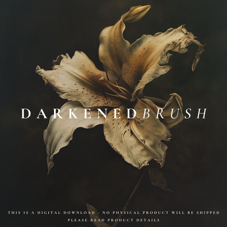 May include: A close-up of a dried, beige lily flower with a dark background. The text "DARKENED BRUSH" is displayed in white letters below the flower.