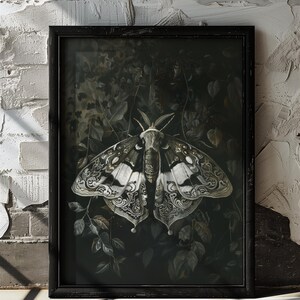May include: A black framed print of a detailed illustration of a moth with white and black markings on its wings. The moth is surrounded by dark green foliage.