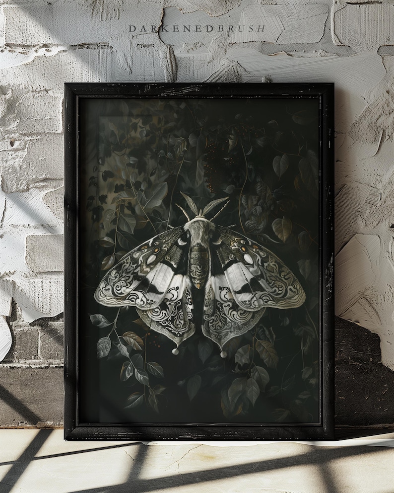 May include: A black framed print of a detailed illustration of a moth with white and black markings on its wings. The moth is surrounded by dark green foliage.