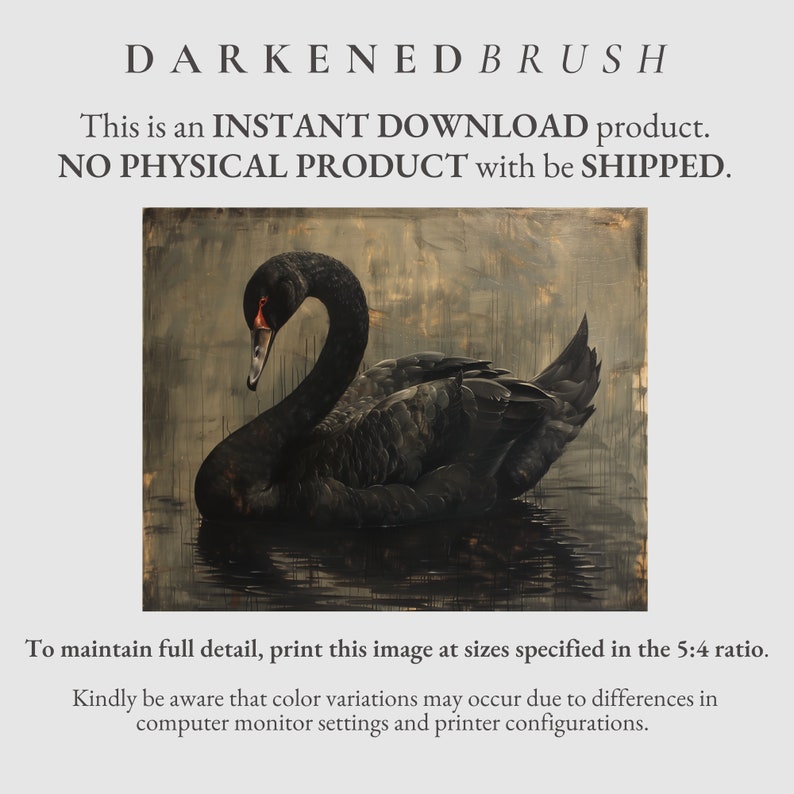 Puede incluir: Una pintura digital de un cisne negro con un fondo oscuro. El cisne est&aacute; nadando en el agua con la cabeza girada hacia un lado. La pintura tiene un efecto texturizado, de pinceladas.