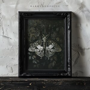May include: A framed black and white illustration of a moth with intricate details, set against a dark green background. The frame is black with ornate detailing.
