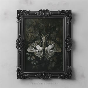 May include: A black framed print of a detailed, white and gray moth with intricate patterns on its wings. The moth is set against a dark green background with leaves and vines.