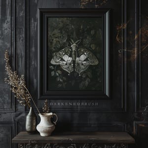 May include: A black framed print of a white and black moth with intricate details, set against a dark green background. The print is titled "Darkened Brush".
