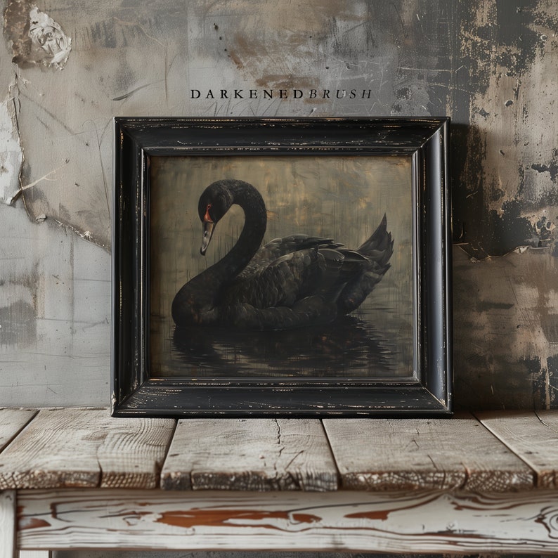 Puede incluir: Una imagen enmarcada en negro de un cisne negro nadando en un cuerpo de agua oscuro. El marco tiene un acabado de madera oscura desgastada. El texto "DARKENED BRUSH" est&aacute; impreso sobre la imagen.