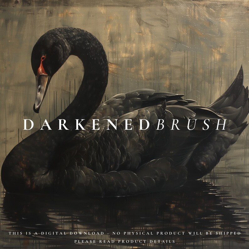 Puede incluir: Un cisne negro con un pico rojo nada en un fondo oscuro y acu&aacute;tico. El texto "DARKENED BRUSH" est&aacute; superpuesto a la imagen. El texto "THIS IS A DIGITAL DOWNLOAD - NO PHYSICAL PRODUCT WILL BE SHIPPED. PLEASE READ PRODUCT DETAILS" est&aacute; en la parte inferior de la imagen.