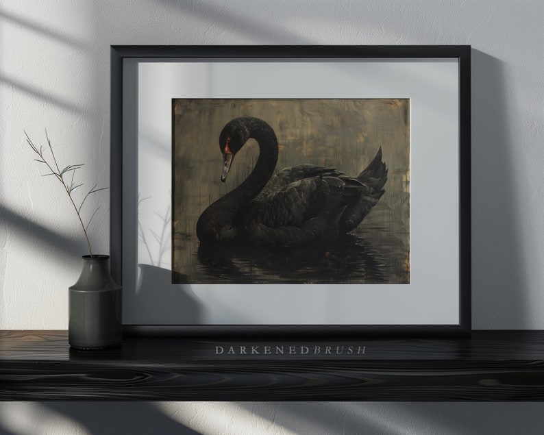 Puede incluir: Un cisne negro con un pico rojo nada en un cuerpo de agua oscuro y tranquilo. El cisne est&aacute; enmarcado por un paspart&uacute; blanco y un marco negro. La imagen se titula "Darkened Brush".