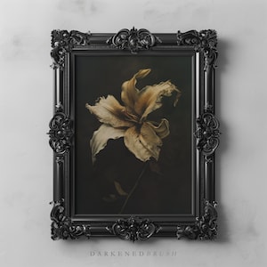 May include: A black ornate frame with a dark background and a single white lily flower with a long stem.