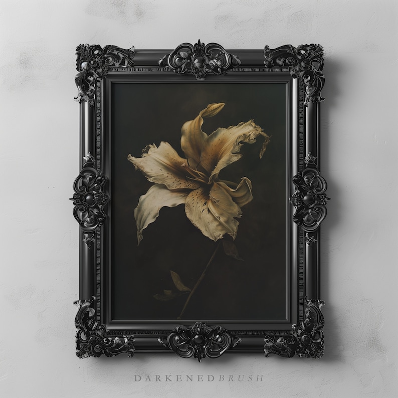 May include: A black ornate frame with a dark background and a single white lily flower with a long stem.