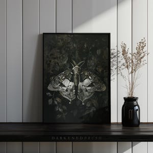 May include: A black framed print of a detailed illustration of a moth with intricate patterns on its wings. The moth is set against a dark background with foliage.
