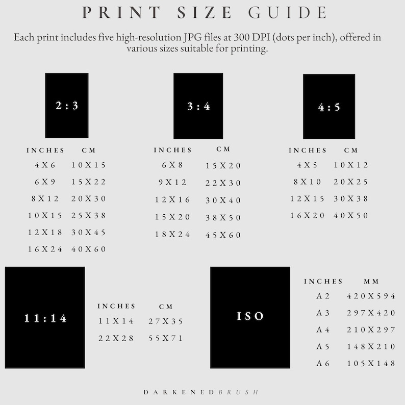 May include: A print size guide with different aspect ratios, including 2:3, 3:4, 4:5, and 11:14. The guide shows the corresponding measurements in inches and centimeters for each aspect ratio. It also includes ISO paper sizes with their corresponding measurements in millimeters.