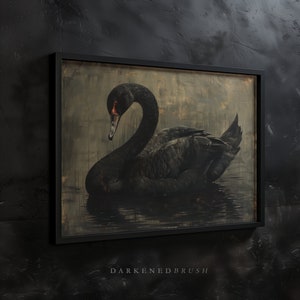 Puede incluir: Un cisne negro con un pico rojo y ojos oscuros nada en un agua oscura y turbia. Las plumas del cisne son lisas y brillantes, y su cuello est&aacute; curvado con gracia. El fondo es de un verde y marr&oacute;n apagados, con toques de luz que atraviesan las nubes.