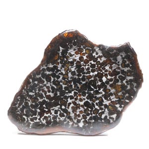 269 g pallasite-meteorietschijf, sericho pallasite-schijf, uit Kenia, meteorietspecimen ET220
