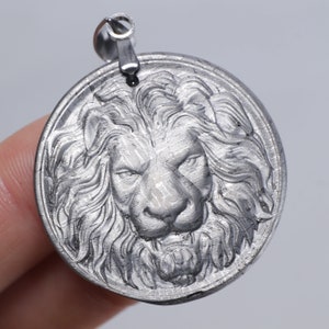 Meteorite pendant，Muonionalusta meteorite Necklace pendant，Carved lion design