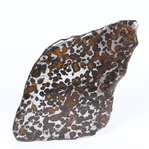 173 g pallasite-meteorietschijf, Sericho pallasite-schijf, uit Kenia, meteorietspecimen ET229