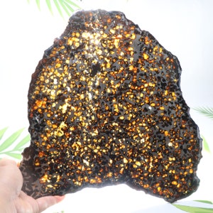 625g SERICHO Pallasite olive meteorite slices - from Kenya ， Beautiful Slice meteorite V1248