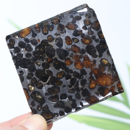41g Slice shops meteorites,Sericho Kenyan Pallasite olive meteorite V396