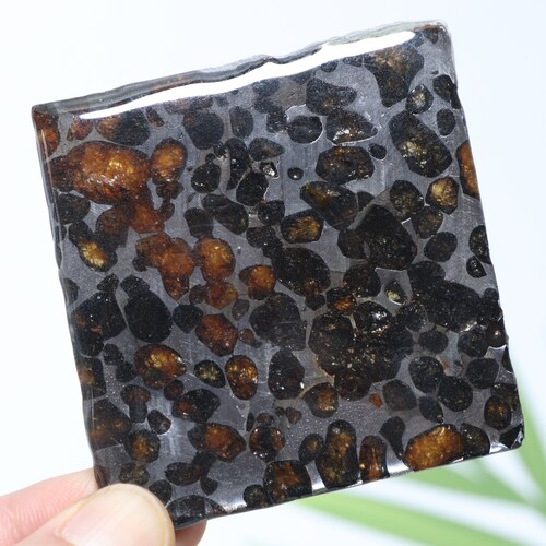 41g Slice shops meteorites,Sericho Kenyan Pallasite olive meteorite V396