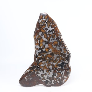140 g pallasite-meteorietschijf, Sericho pallasite-schijf, uit Kenia, meteorietspecimen ET106