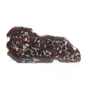 94 g pallasite-meteorietschijf, Sericho pallasite-schijf, uit Kenia, meteorietspecimen ET231