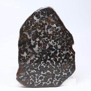 215 g pallasite-meteorietschijf, Sericho pallasite-schijf, uit Kenia, meteorietspecimen ET223