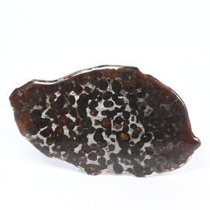 83 g pallasite-meteorietschijf, Sericho pallasite-schijf, uit Kenia, meteorietspecimen ET230