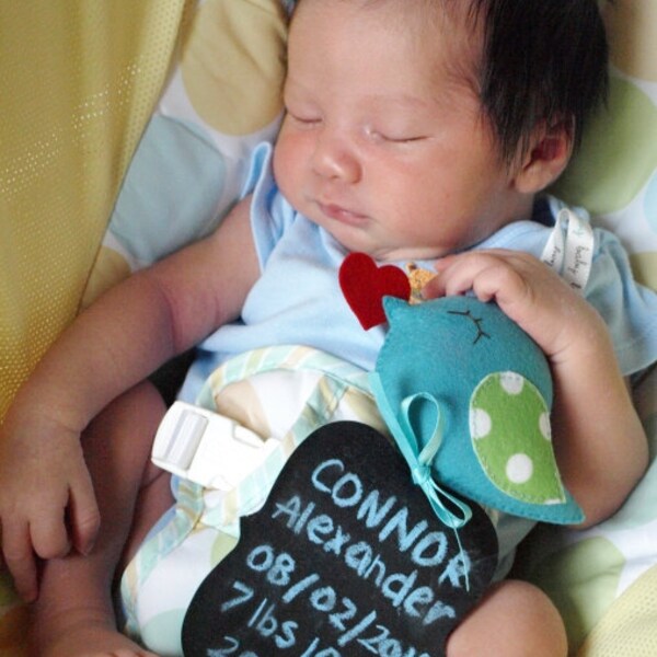 BABY BIRTH Announcement Messenger Birds - Nursery Collection with rewriteable mini chalkboard for personalized message