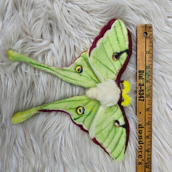 Needle Felted Luna Moth - Etsy