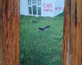 Cat Party #10