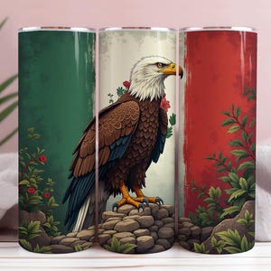 Bandera mexicana Águila PNG México vaso envoltura Sublimación Diseño sin costuras, Patriótico Png México Águila Herencia mexicana Mexicana Chicana Png