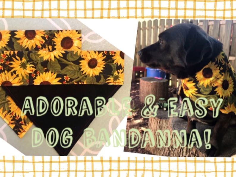 Adorable & Easy Reversible Dog Bandana Freezer Paper Template image 1